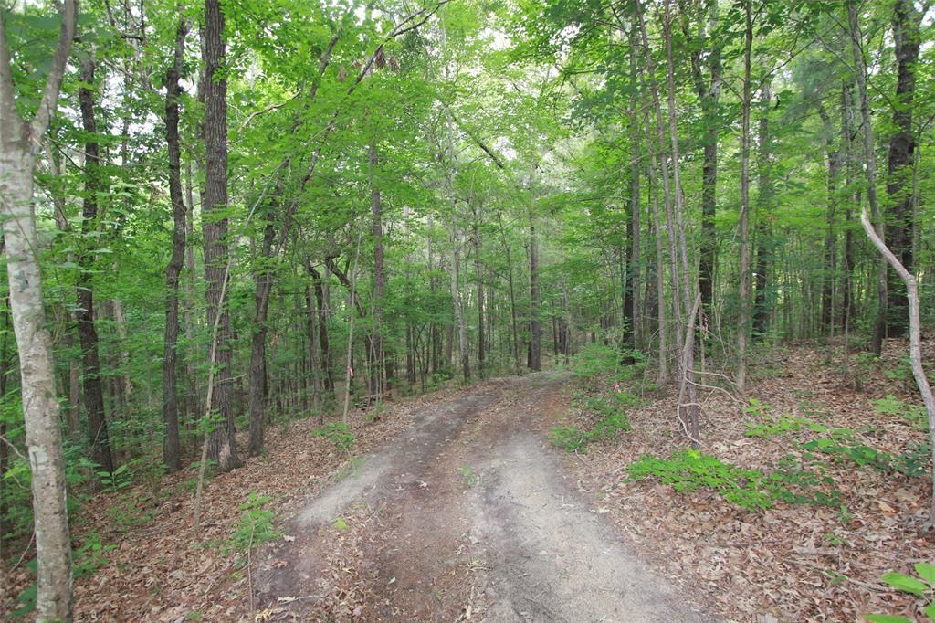Tract 53.1 Hwy 31