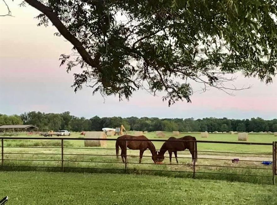 Equestrian and cattle ranchers dream! This beautiful North East TX ranch consists of 446 acres of lush native grasses perfect for running cattle and or hay production. Covered cattle working pens and 7 pastures are cross fenced for rotational grazing. It is currently running 120 head of cows. There is a large 30 x 40 shop with a 20’ overhang for equipment storage. Nine ponds provide ample water along with water fowl hunting and bass fishing. Plenty of deer and hogs on the property as well.

The heart of the ranch features a premier horse training or boarding facility. A 100 x 225’ fully lighted covered arena allows for riding day or night, rain or shine. Connected to the arena is a covered 30 x 225 covered barn complete with 9 pipe pens and automatic water. There are also four 1-acre turnout pastures, two 2-acre turnouts and all have covered sheds and auto water.

The ranch boasts three houses. The first is the homestead ranch house that is approximately 1700 sq ft, 3 bed, 1 bath with a beautiful yard and mature pecan trees. The second is a 2019, 1400 sq ft 3bed, 2bath farm style manufactured home. And the third is a newly built 1200 sq ft 2bed, 1 bath barndominium style home. Plenty of room for a family business or rent the houses for added income. This property is a must see and truly one of a kind!
Conveniently located 20 minutes south of Paris and 80 miles north of Dallas
