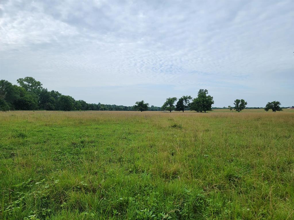 231 ACRES TBD FM 100