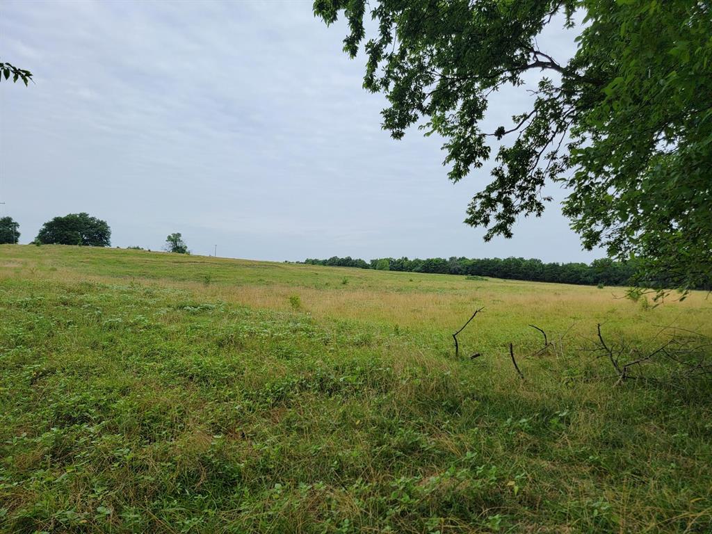 231 ACRES TBD FM 100