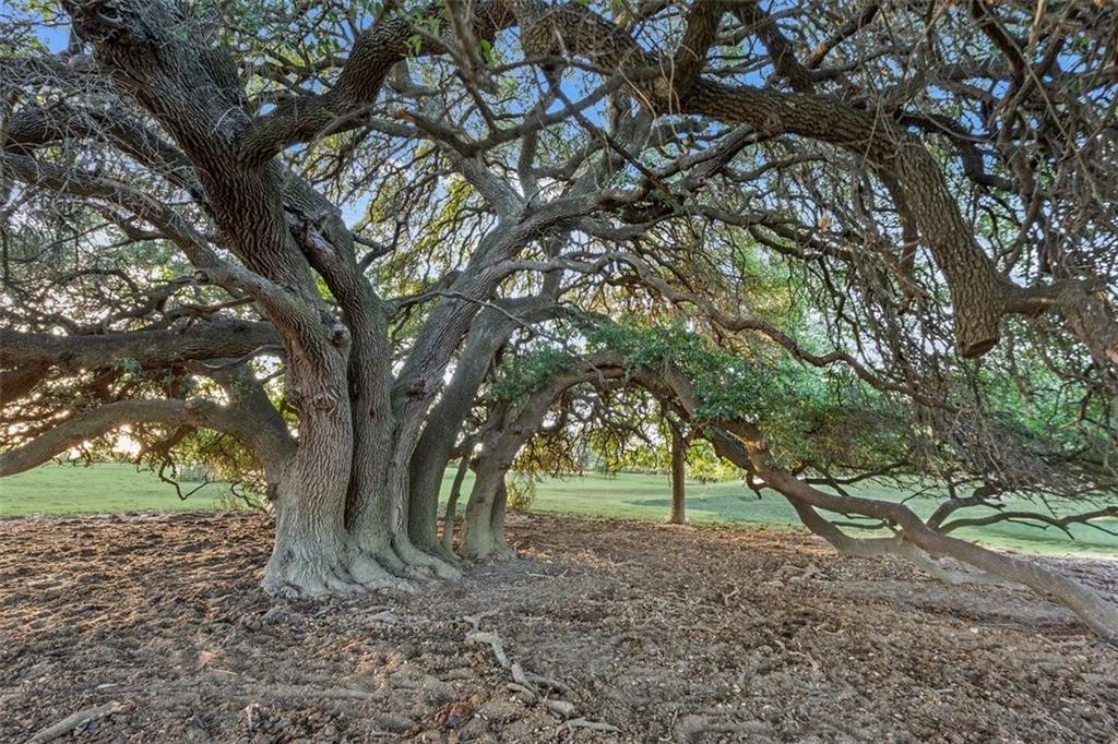 Multiple Surveys - Farm