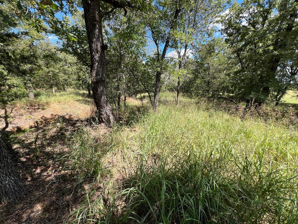 Silver Lakes Ranch - Land