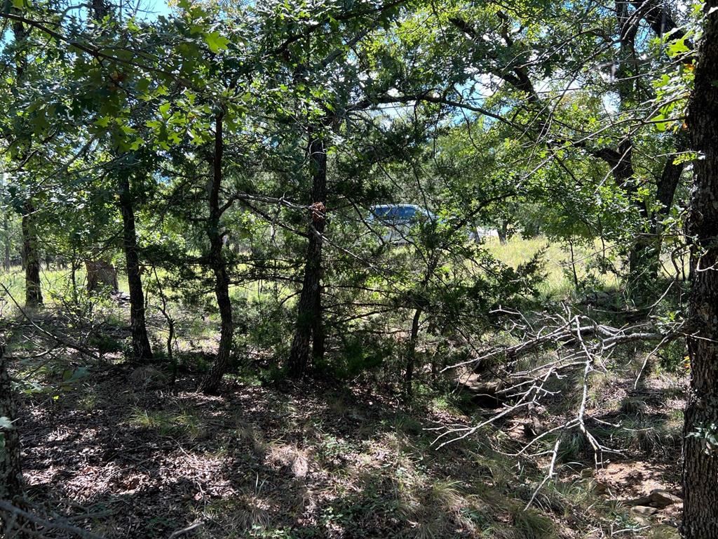 Silver Lakes Ranch - Land