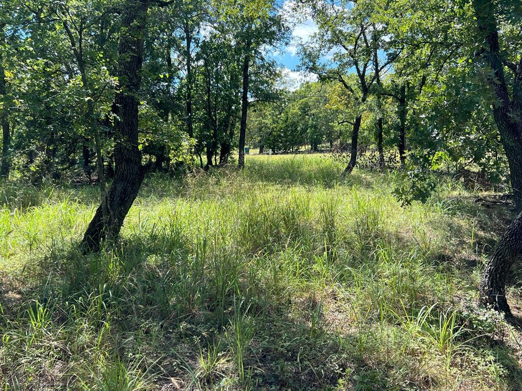 Silver Lakes Ranch - Land