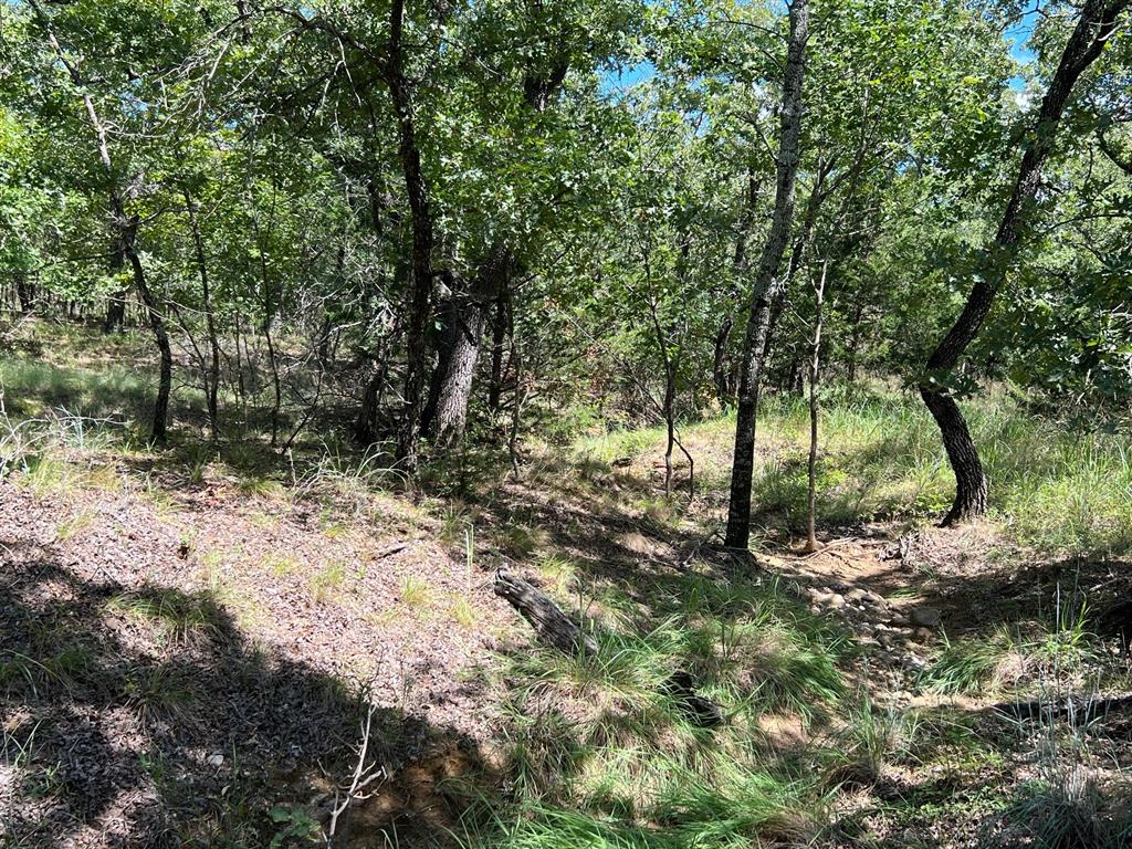 Silver Lakes Ranch - Land