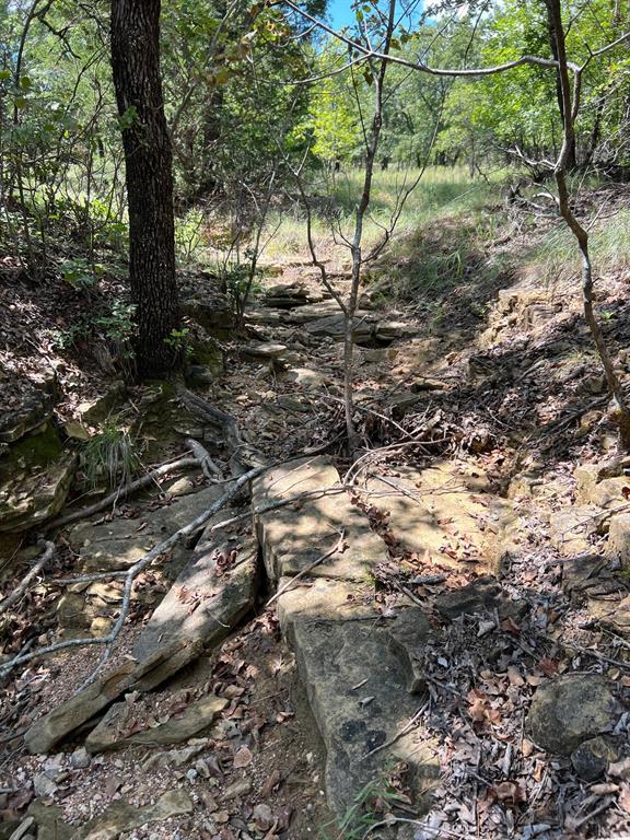 Silver Lakes Ranch - Land