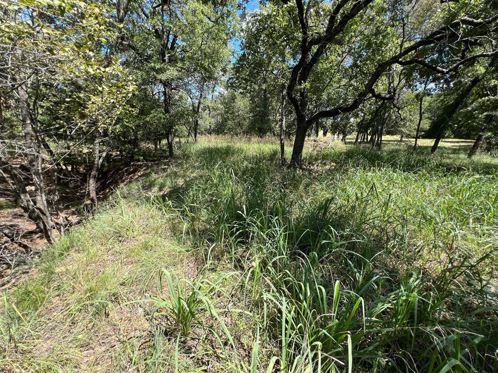 Silver Lakes Ranch - Land