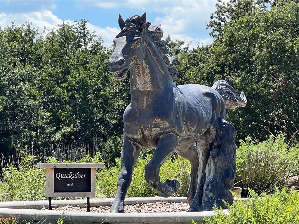 Silver Lakes Ranch - Land