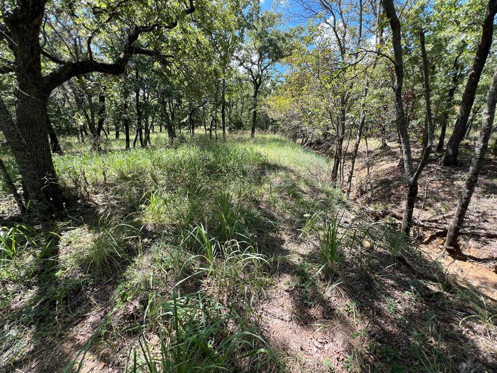 Silver Lakes Ranch - Land
