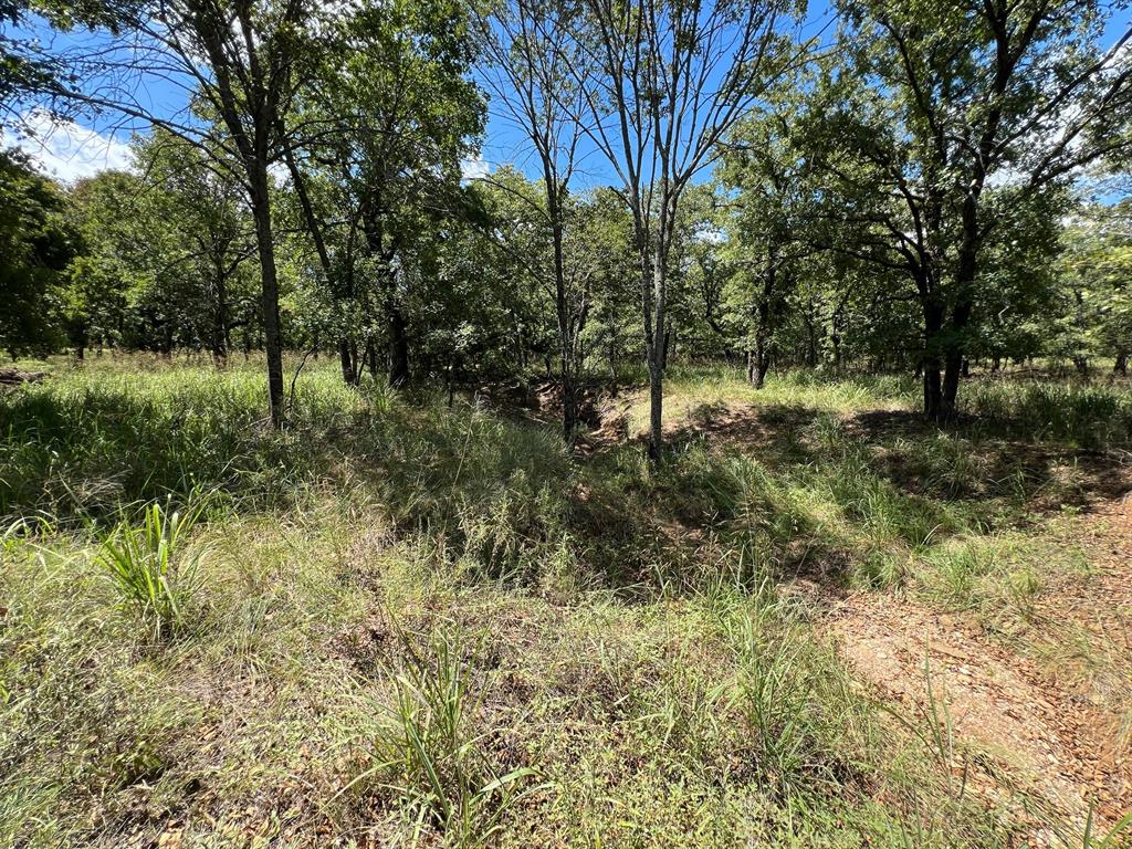 Silver Lakes Ranch - Land