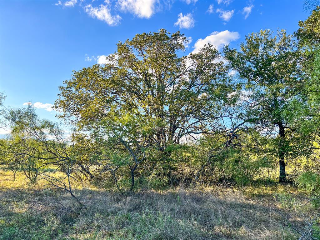 SANTORINI, F-330;F-338 - Land