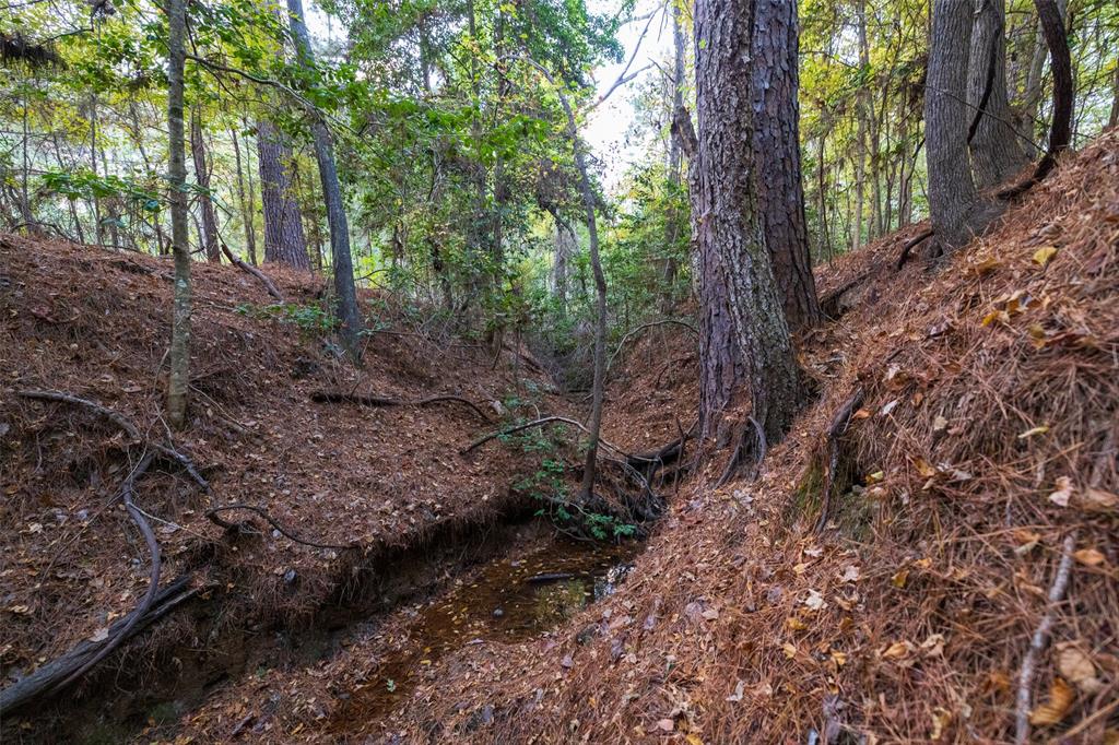 640 County Road 4910