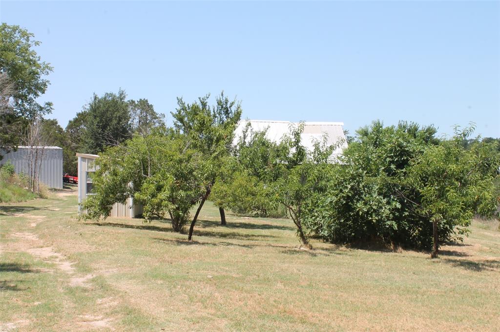 Glen Rose Hills - Farm