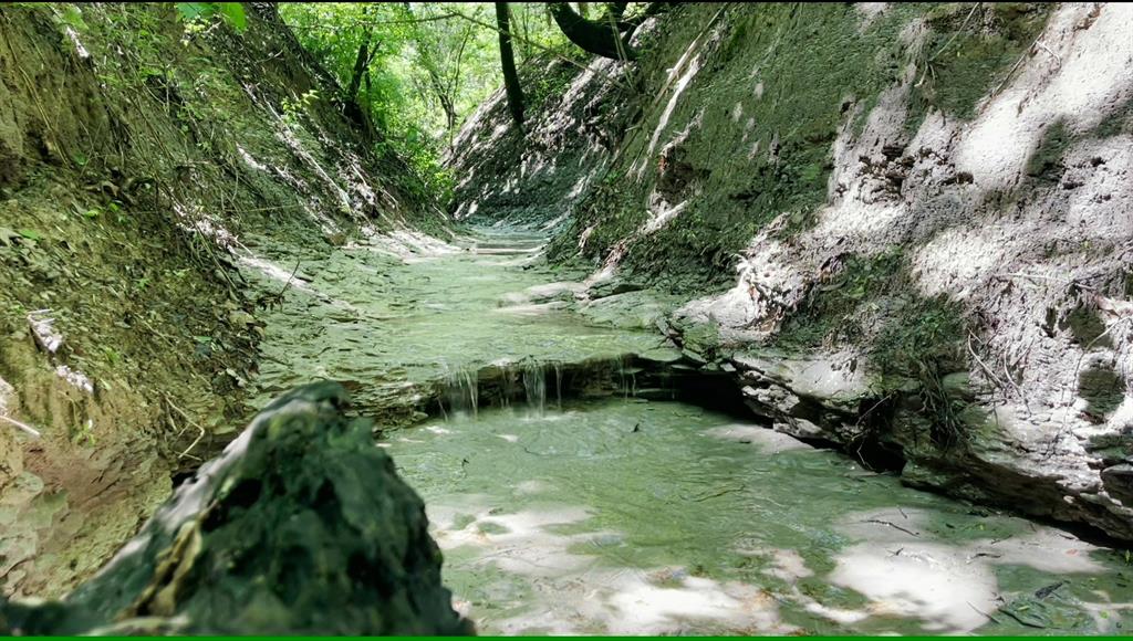 H Kattenhorn Surv A-672 - Land