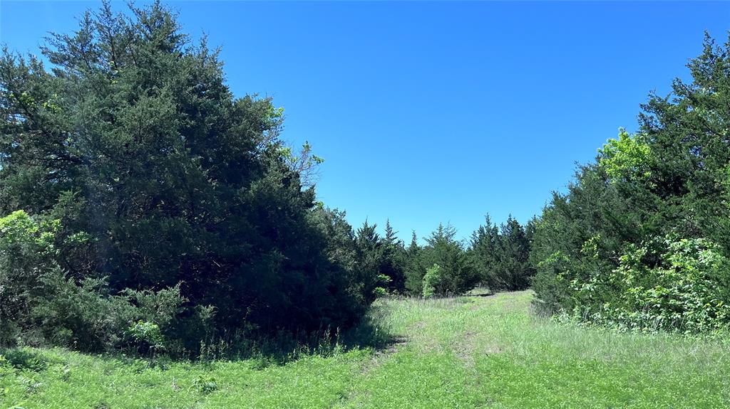 H Kattenhorn Surv A-672 - Land