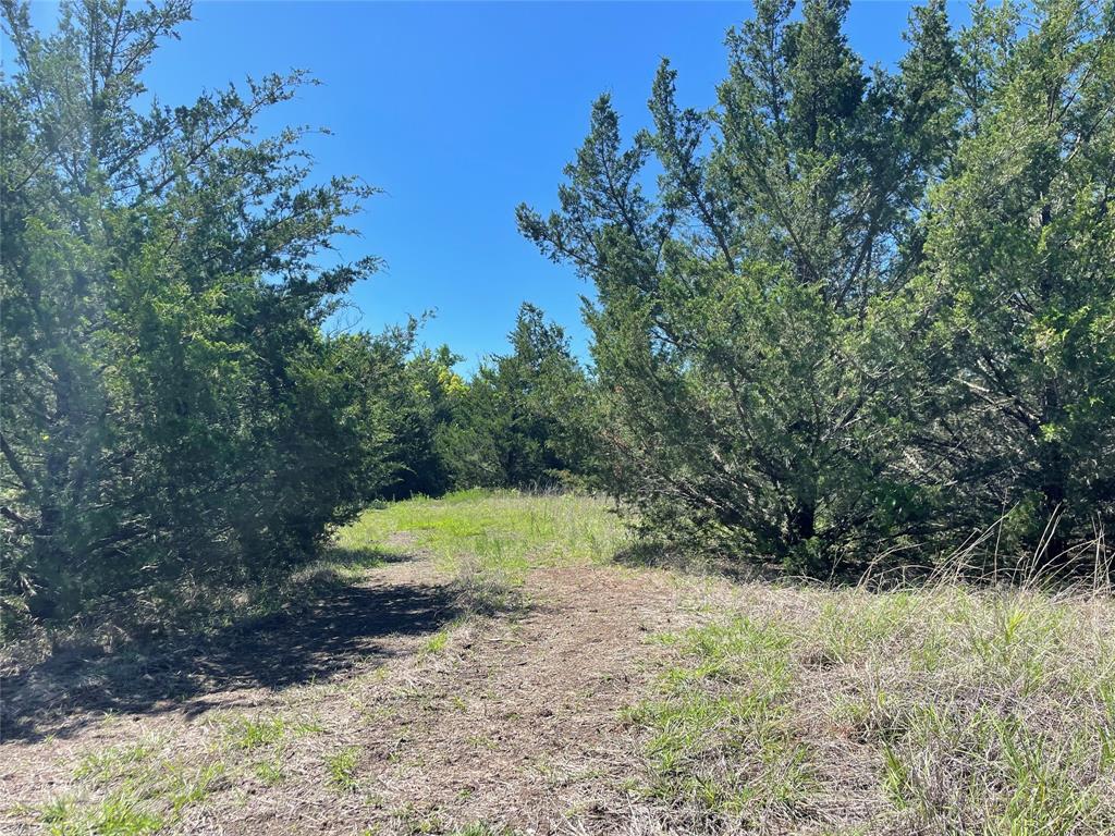 H Kattenhorn Surv A-672 - Land