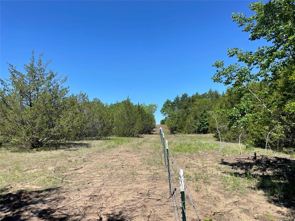 H Kattenhorn Surv A-672 - Land