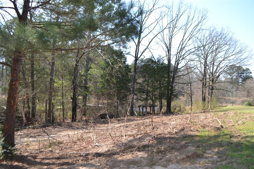 Lot 128, 144 County Road 2123