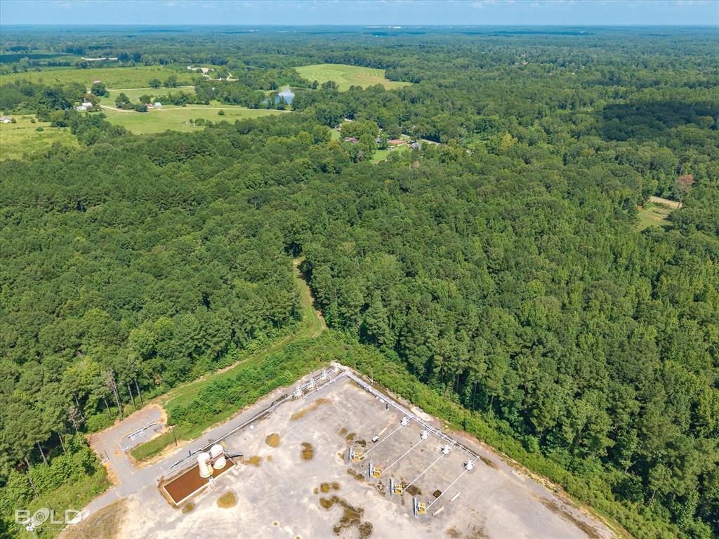 Keithville, Louisiana 71047, United States, ,Land,Active,195915