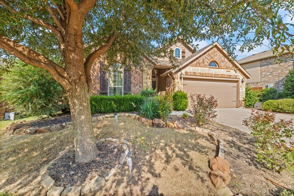 9921 Chrysalis Drive