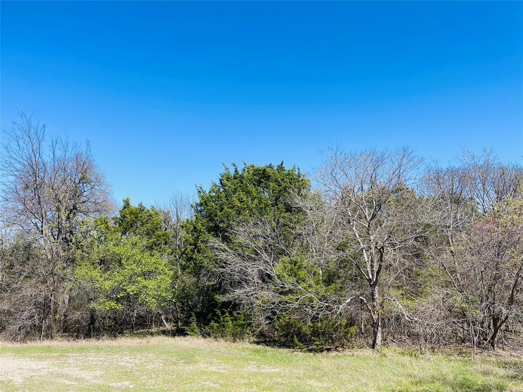 White Bluff #01 - Land