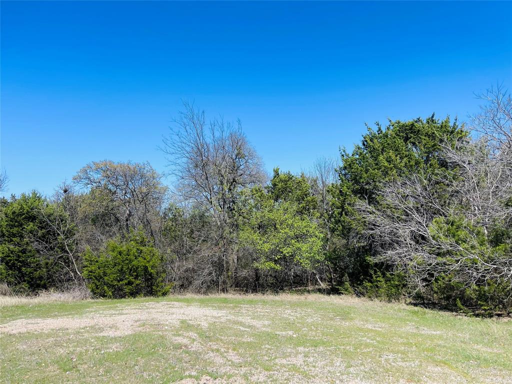 White Bluff #01 - Land