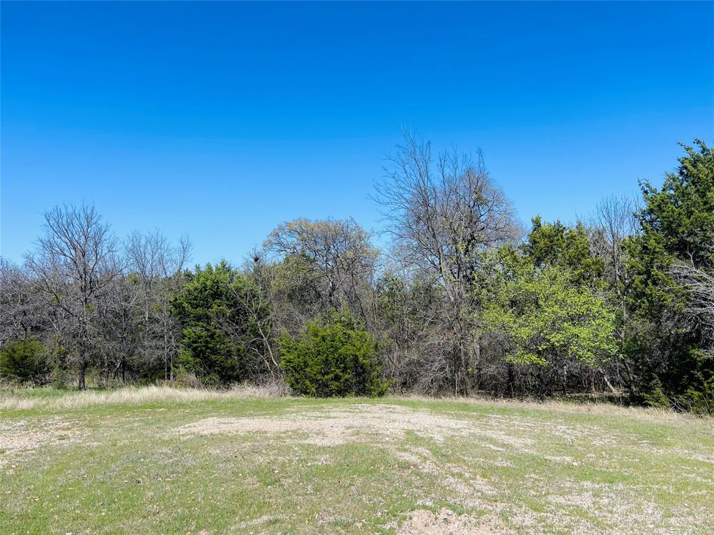 White Bluff #01 - Land