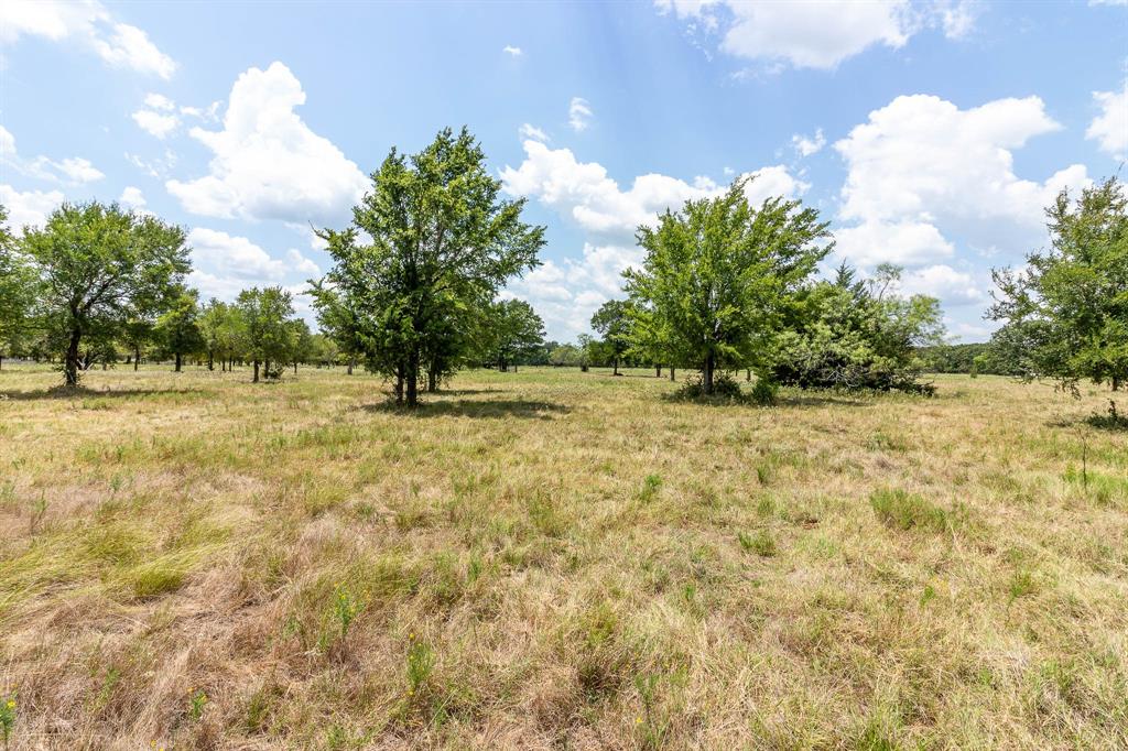 T Seitz A-477 - Land