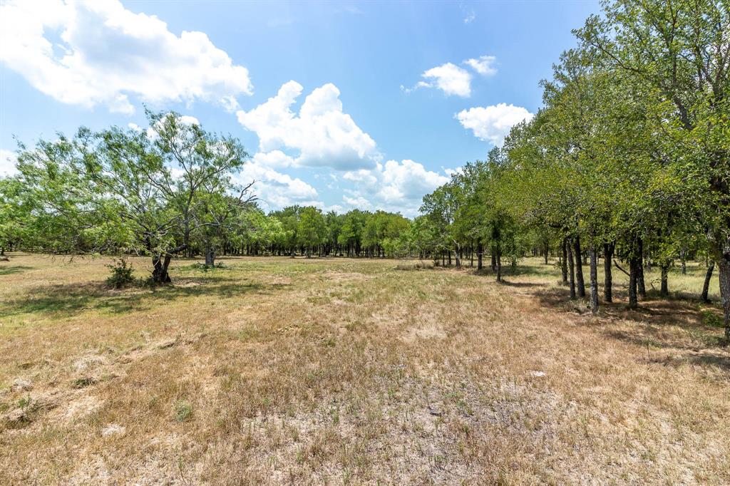 T Seitz A-477 - Land