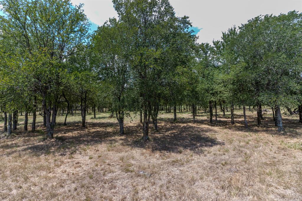 T Seitz A-477 - Land