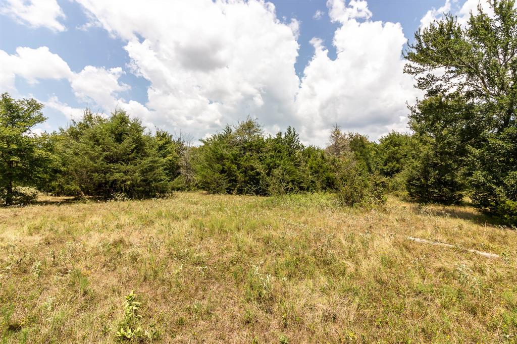 T Seitz A-477 - Land