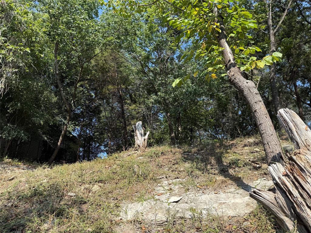 Western Hills Harbor - Land