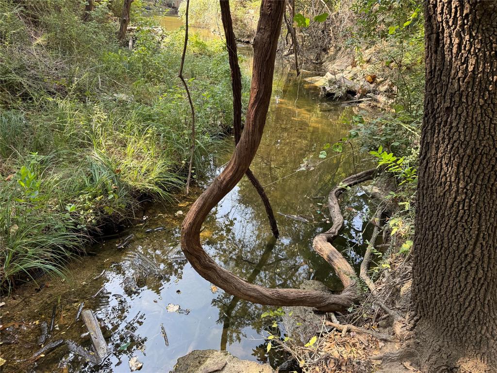 Western Hills Harbor - Land