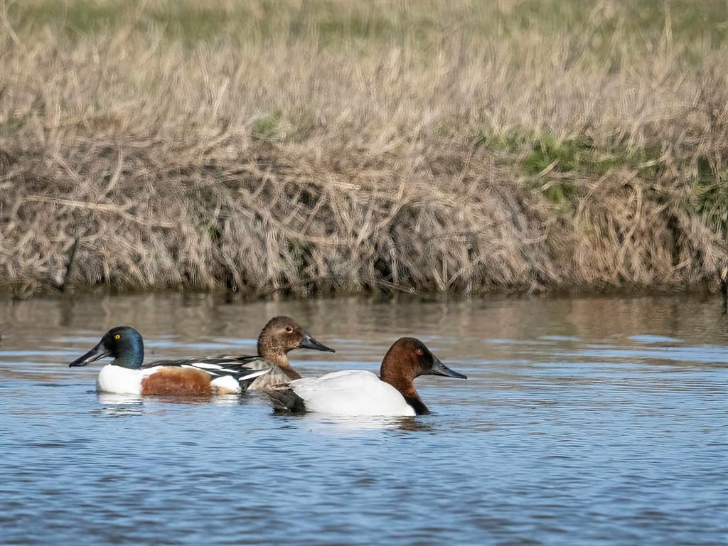 Bbb & Crr - Residential