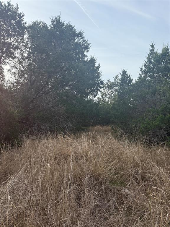 58 Bramble Bush Drive