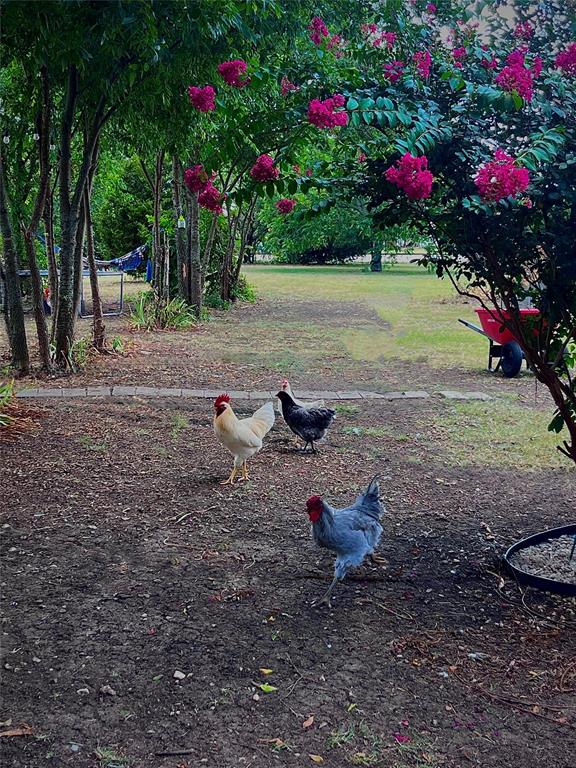 Clark J - Residential