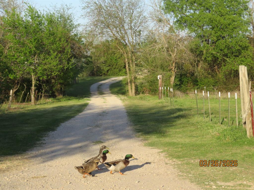 Quintano Francisco - Residential