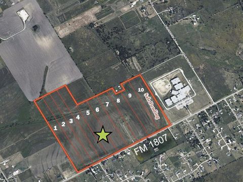 MLS: 20874360