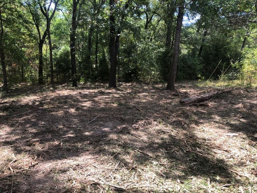 Just a stone's throw away from Cedar Creek Lake, this lot offers the perfect opportunity to create your ideal vacation retreat or settle in a charming manufactured home. A prime location with direct access to the community boat ramp, you'll have endless possibilities for lakeside adventures and water activities. Situated within a convenient distance from the Metroplex, this home site provides access to major transportation routes, ensuring a smooth commute. With a blank canvas awaiting your imagination, seize the chance to reimagine and transform this property into your personal oasis. The seller is also selling Lot 2, next door, giving you the opportunity to purchase 2 adjacent lots.