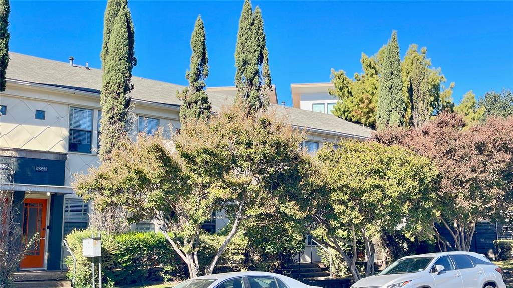 LEVINGSTON PLACE - Residential Lease