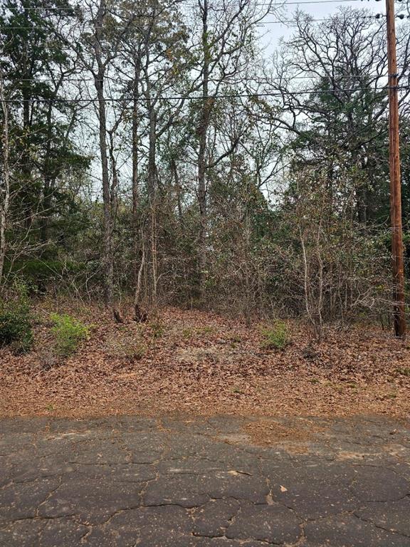 Callender Lake - Land