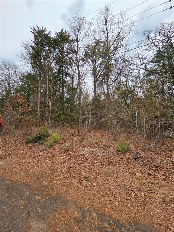 Callender Lake - Land