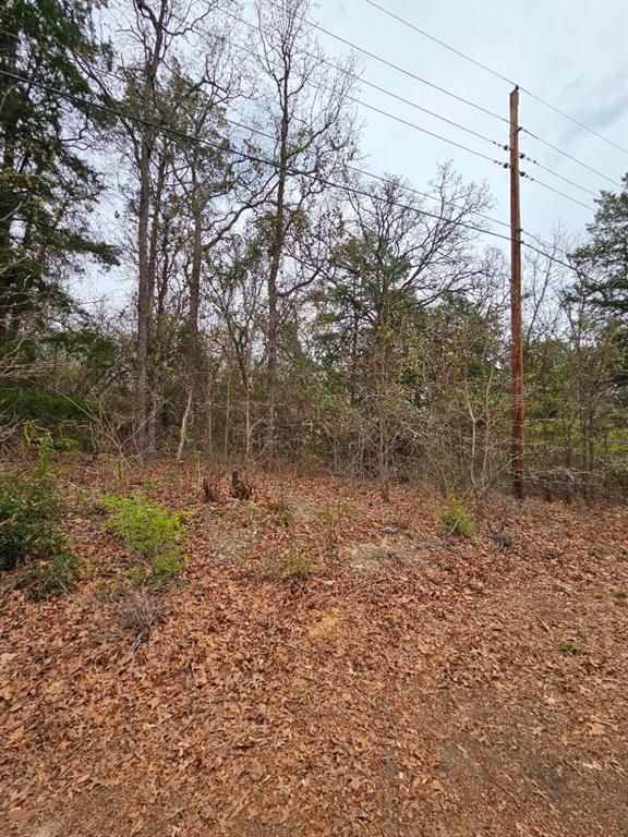 Callender Lake - Land