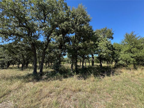 Photo of 395 Hilltop Drive, Mineral Wells, TX 76067 (MLS # 21419841)