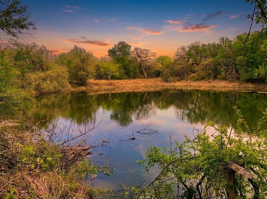 1039 & 1033 CREEK CROSSING ROAD, NEMO, TX 76070 - Image ac15fe3025b05652ac2b45e39a4e4848/3854647796
