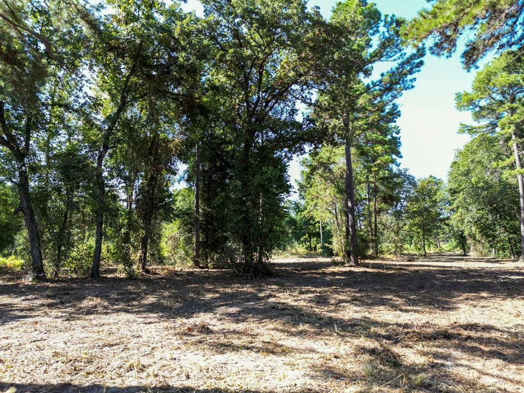 Legacy Shores - Land