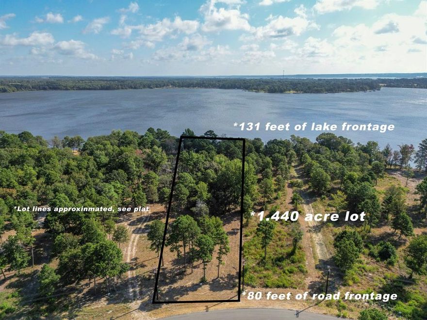 Build your lakefront dream home in the newly developed Legacy Shores gated subdivision. With 131' of shoreline and picturesque views of the 25,000+ acre Lake Palestine, this premier 1.44 acre lot is level from the street to its water's edge with mature hardwoods and pines spread throughout. The deep calm waters in this part of Flat Cove are excellent for bass fishing, recreational boating, or simply enjoying the tranquility of the gentle lapping waves and the wildlife that thrive there. Convenient location just over an hour from Dallas, 15 minutes to Chandler and 30 minutes to Tyler.