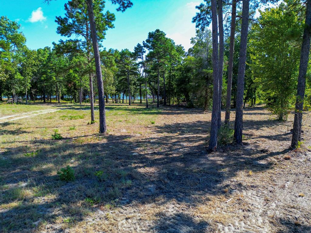 Legacy Shores - Land