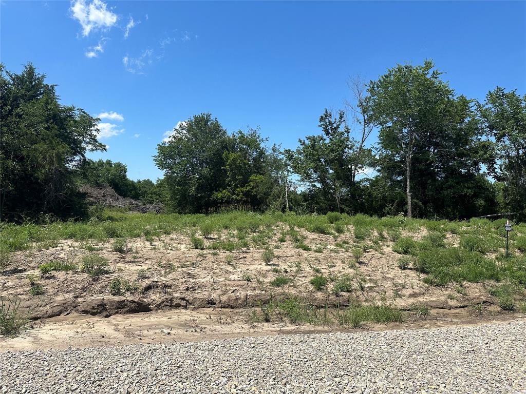 Lot 15 County Road 1110