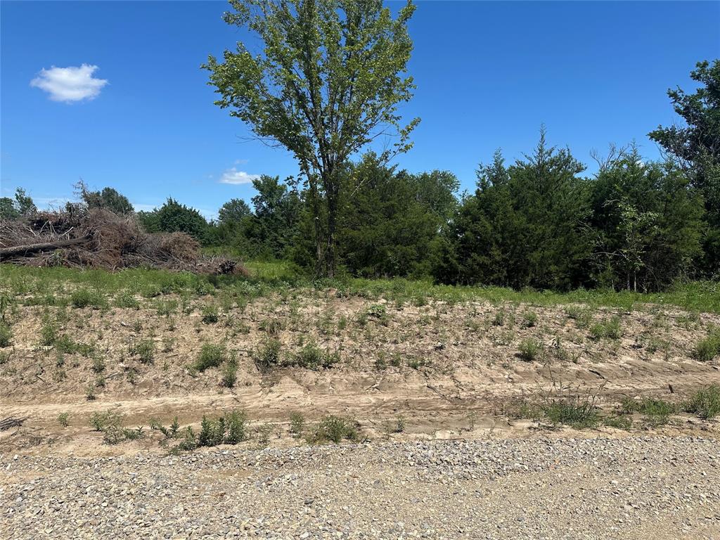 Lot 15 County Road 1110